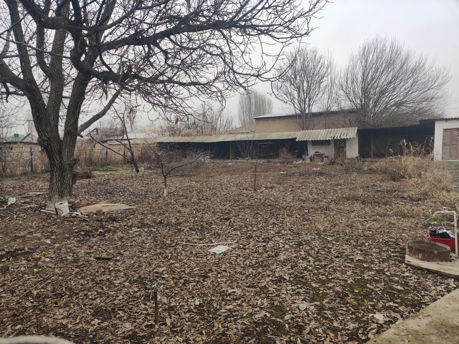 Продаю хороший дом в Правде