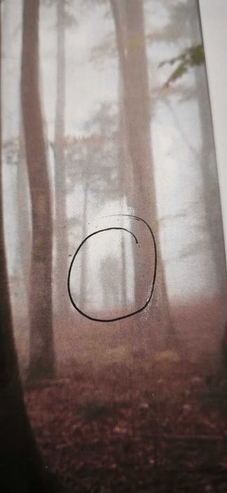 Криминално Разследване Случай Мартин