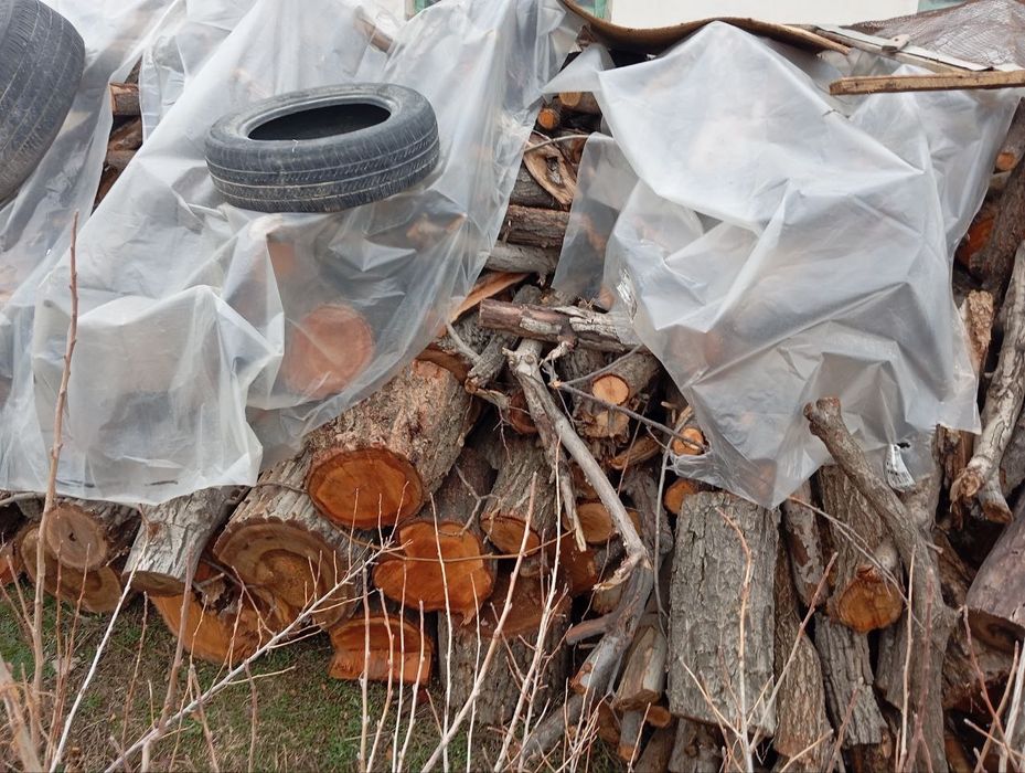 у'тин сотилади. продаётся дрова. йонг'ок, чинор, медали дарахтлар