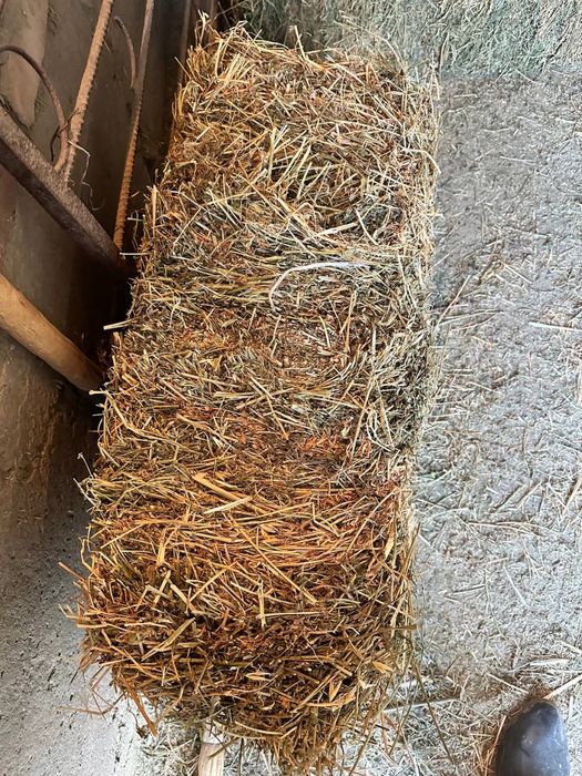 Беда пресс сотилади