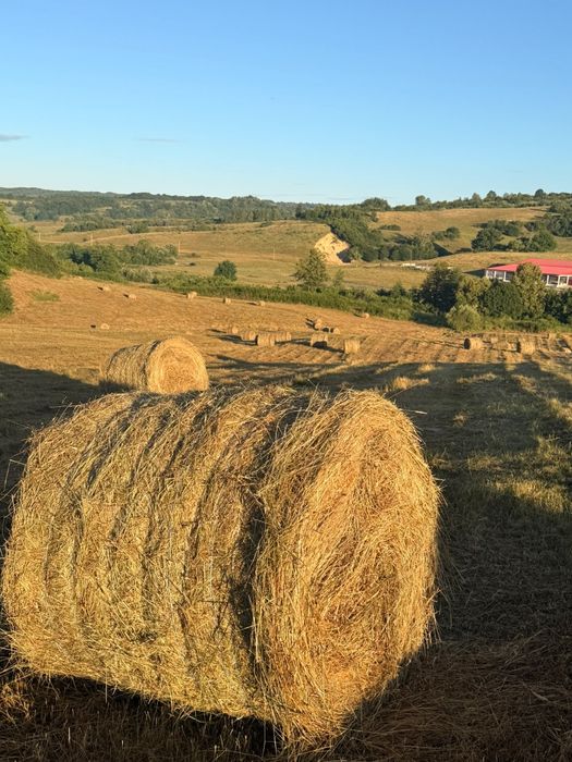 Vând baloți de fân natural