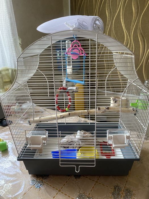 Клетка большая 15000