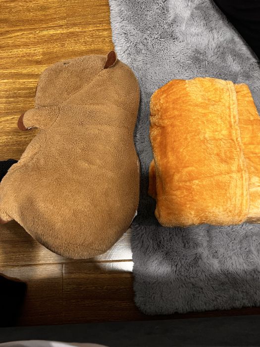 Plus Capibara cu paturica