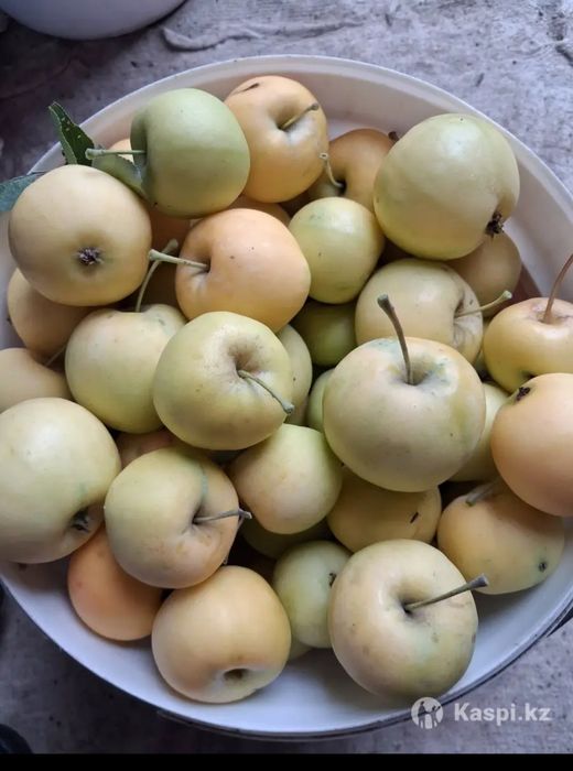 Продам частный дом