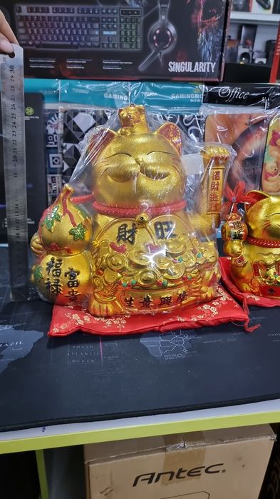 продаю котиков на удачу