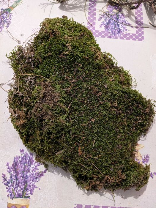 Клонки мъх жълъди шишарки за декоразия