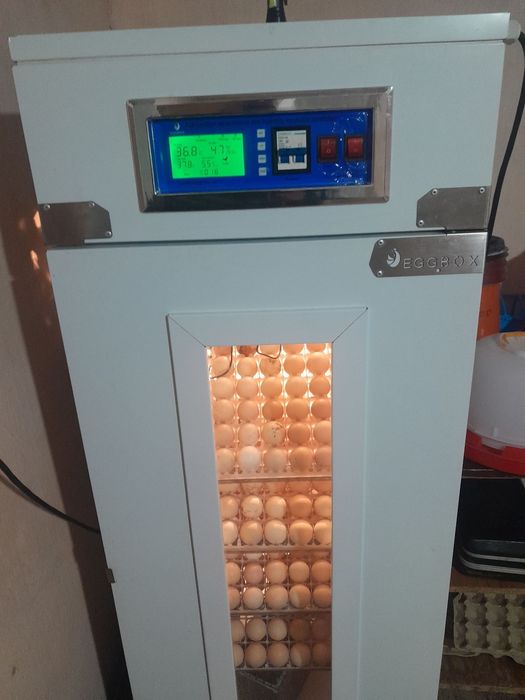 Eeg box inkubatori sotiladi 356 talik