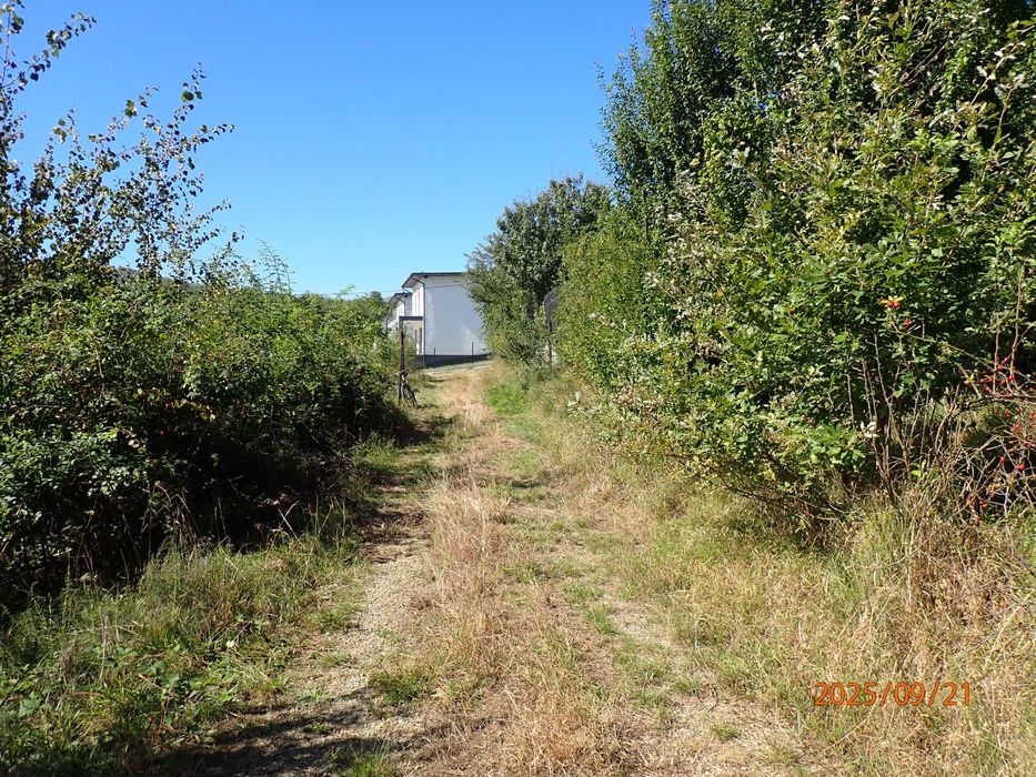 Teren intravilan de 1409 mp cu PUZ - Cisnadioara, strada Cireşilor