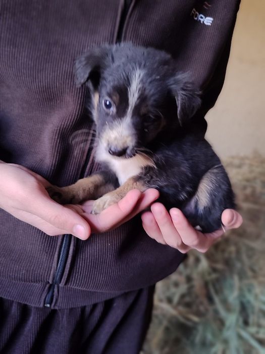 Яхши инсонларга хадия киламан