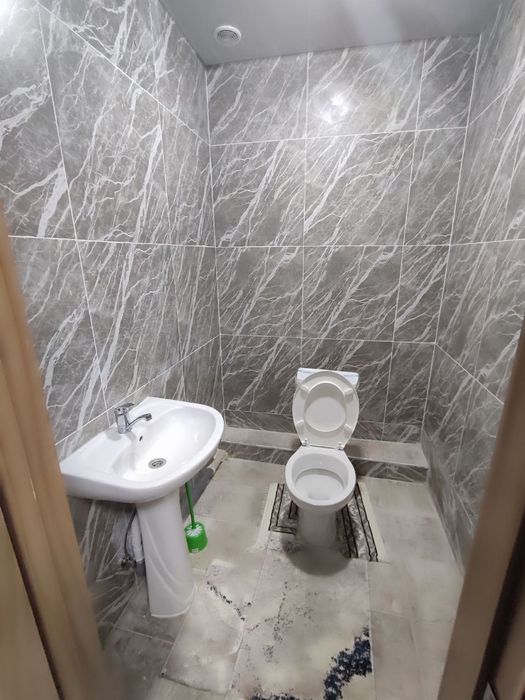 Мирзо Улугбек аренда семя и студентов