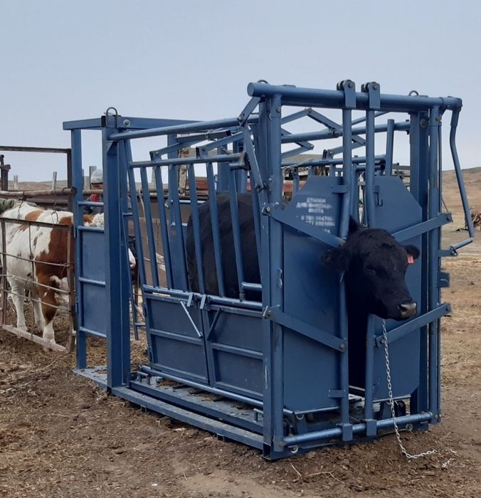 Фиксатор (раскол) для скота (КРС, лошадей)