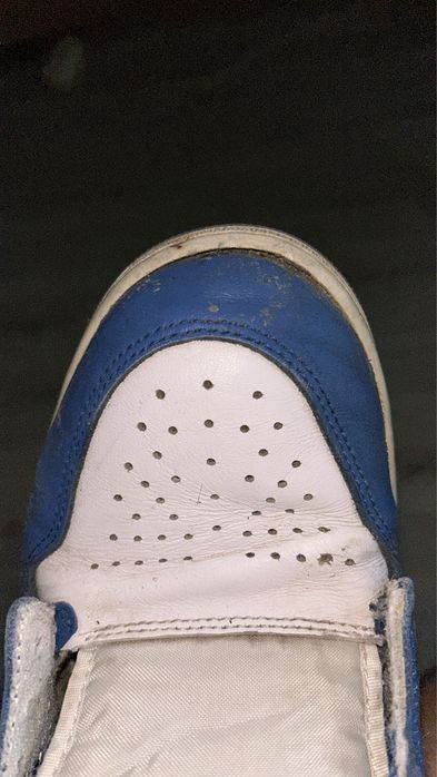 Air Jordan True Blue