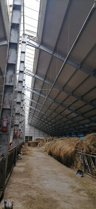 Inchiriez sau vand hala metalica