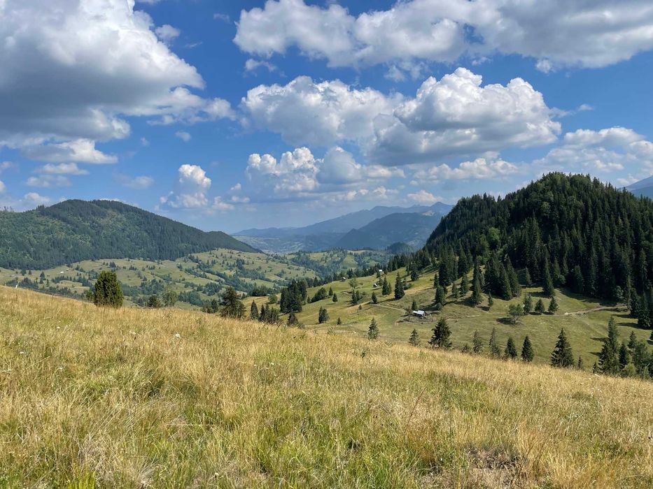 17 Ha Hectare pe Via Transilvanica intravilan + extravilan in Fundu Moldovei