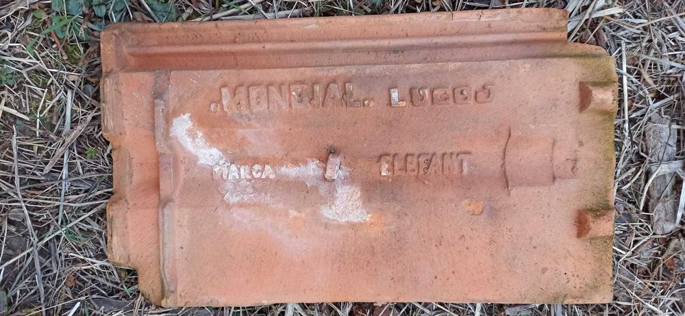 vand tigla si olane Mondial (Elefant)