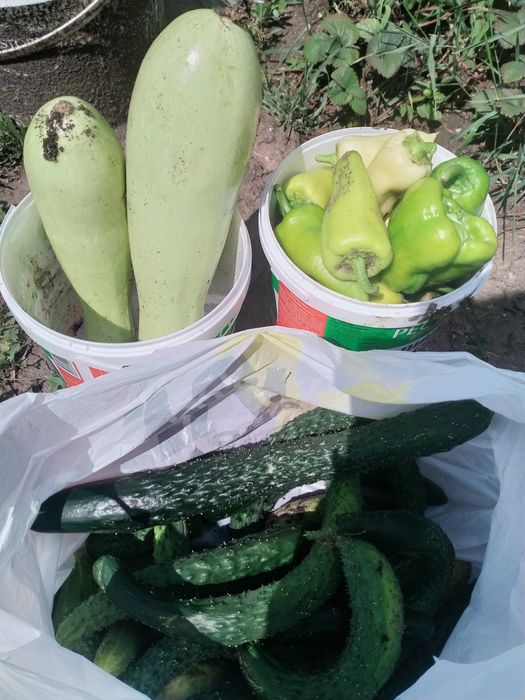 Продам дачу в черте города