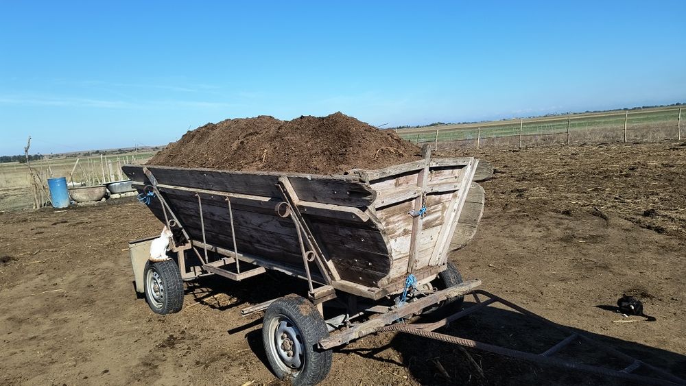 Vând  rănită pt solare