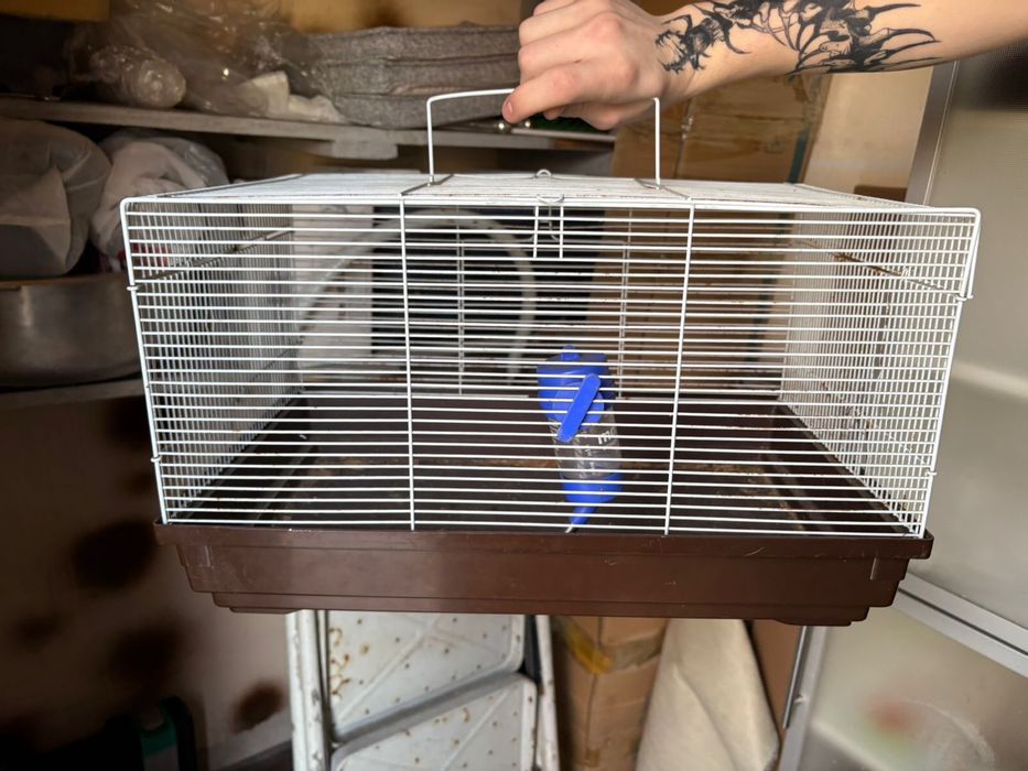 Клетка для грызунов