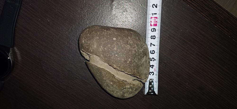 Окаменелое яйцо Динозавра