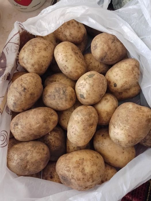 Продам картошку местную