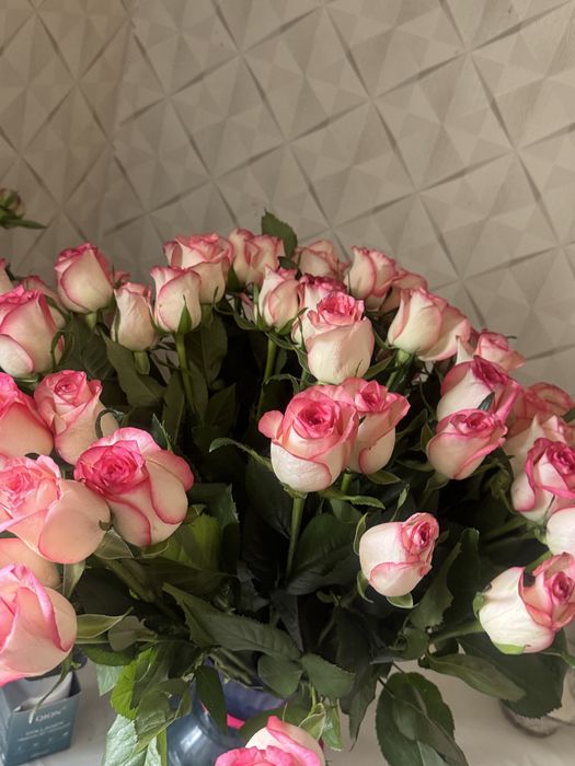 Продом 51 розы свежие