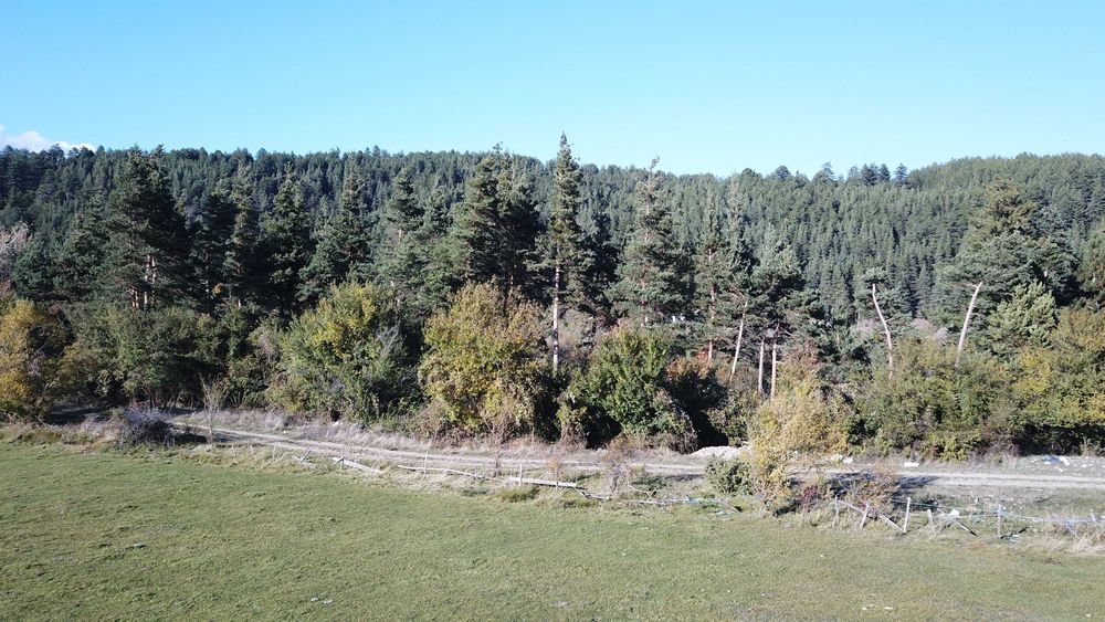 3000 кв. м. Парцел за продажба в Разлог