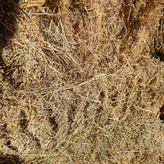 Lucerna si paie de vânzare