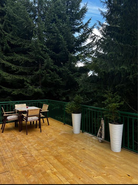 Libera de Craciun Ranca Cabana cu Ciubar de inchiriat Ranca Gorj