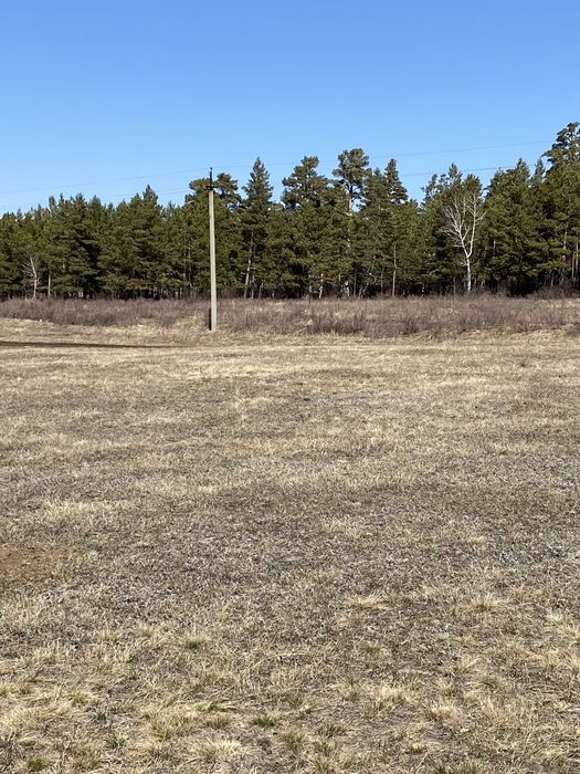 Продам 12 соток у леса в п.Зелёный Бор