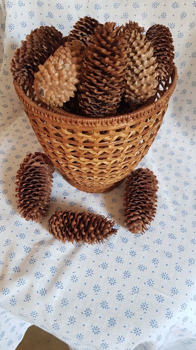 Шишарки за декорация и арт композиции