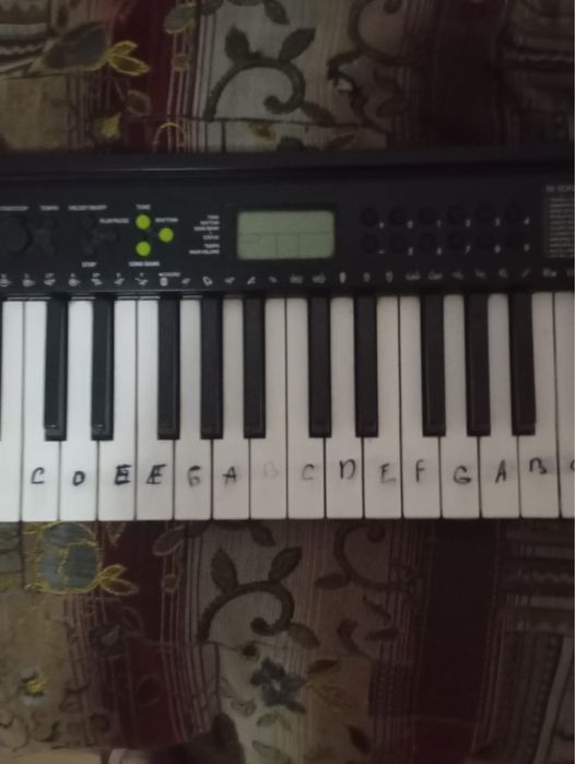 Синтезатор Casio