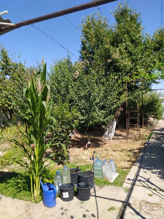 Продается дом в Кибрае 8 соток Кибрай Рай газ Махаля‼️