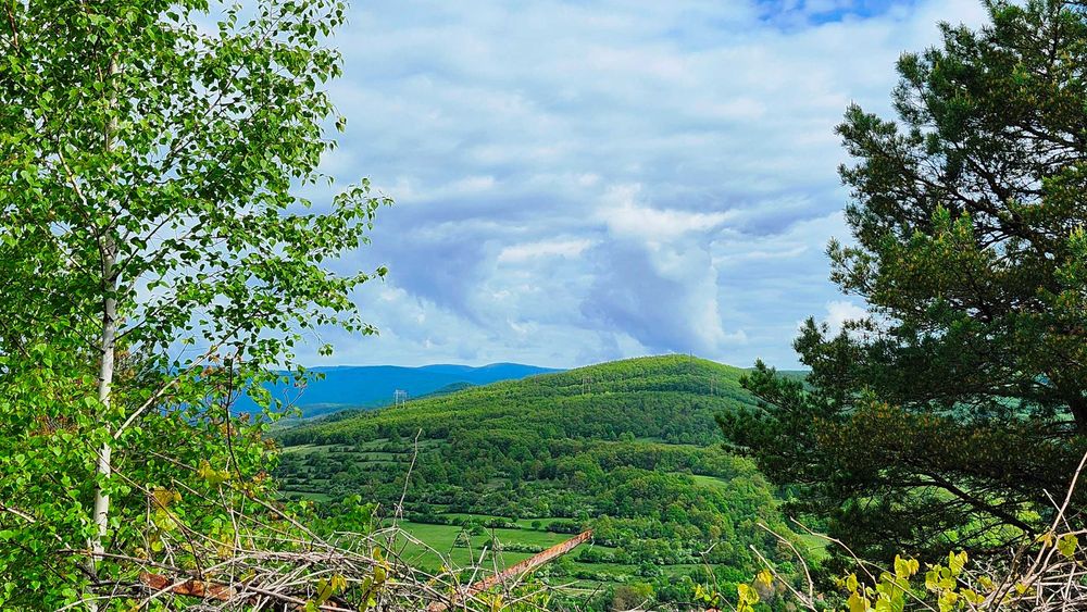 Продава се Парцел в с. Макоцево, Област София-област - 774 кв.м за 26 €/кв.м - Снимка #2