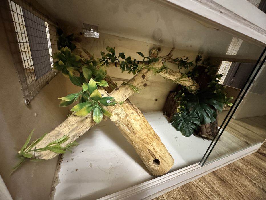Vand terariu sarpe soparla gecko