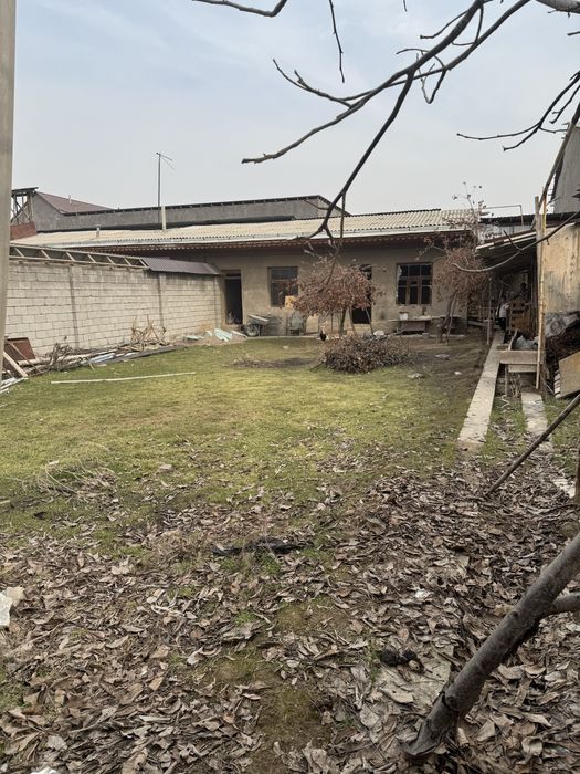 Toshkent tumani kirf