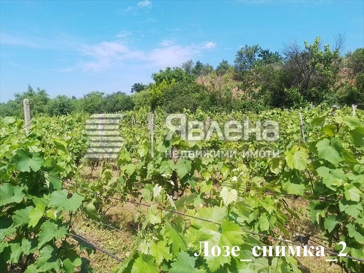 Продава се Земеделски имот в Благоевград, Баларбаши -  кв.м за 21 €/дка - Снимка #2