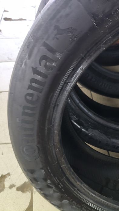 Шины континента ль лето