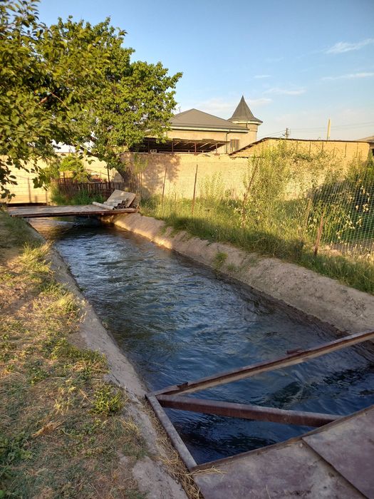 Uy sotiladi Qibray uzumzor mahallasida