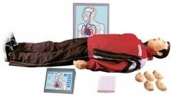 Маникен медцинский тренажер для первой помощи.