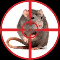 dezinfeksiya xidsiz klapa tarakan pasha