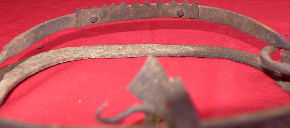 Капанче за вредители