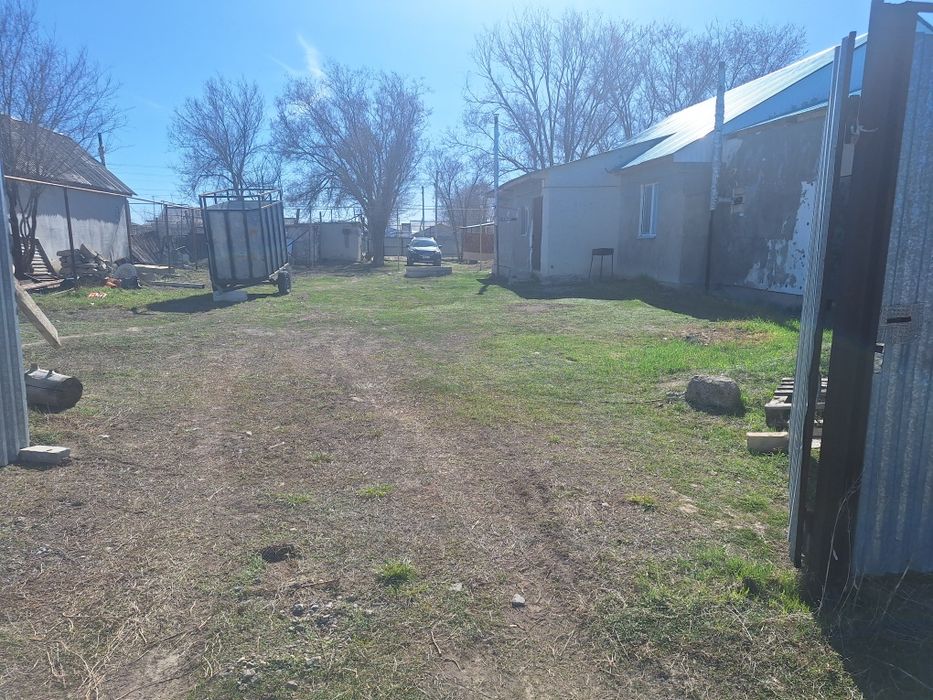 Кызыл талдан уй сатамыз.