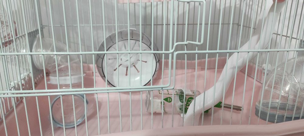 Cușcă completa hamster