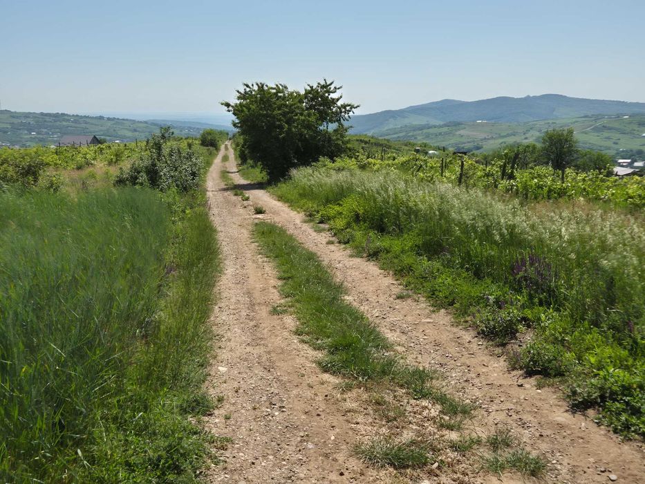 Teren intravilan Tomești-Goruni