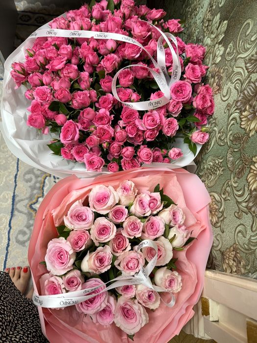 продам розы розовые