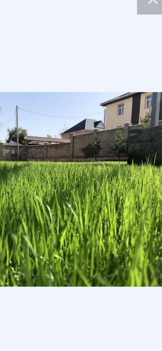 Автополив и Газон