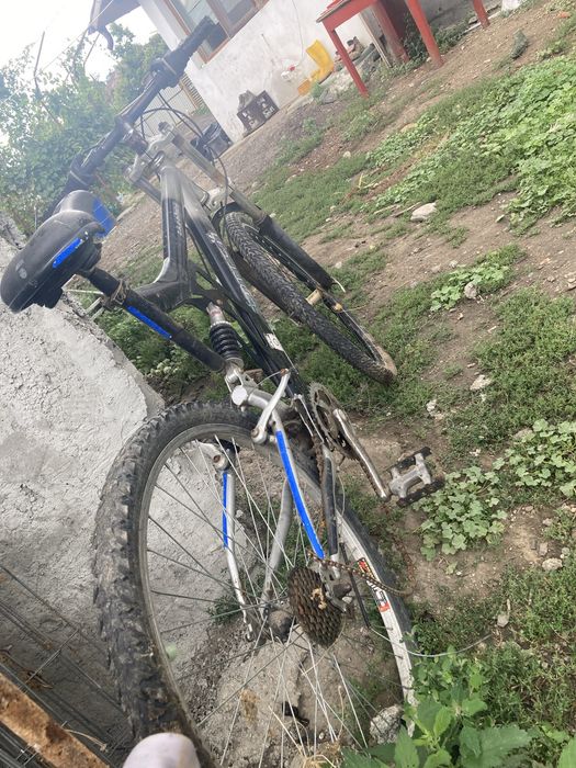 bike affairs torreth mtb
