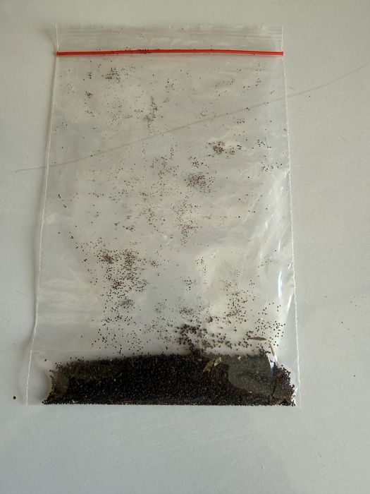 Семена декоративного мака Мак