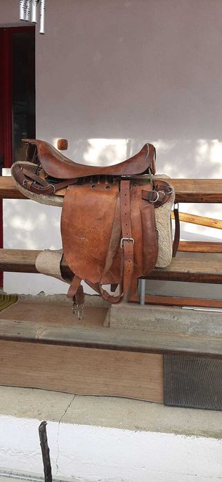 Șea de călărie 1000 lei