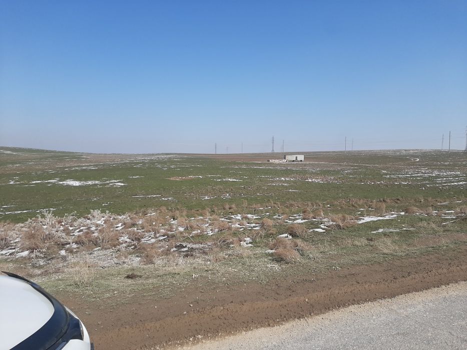 Участок два гектара